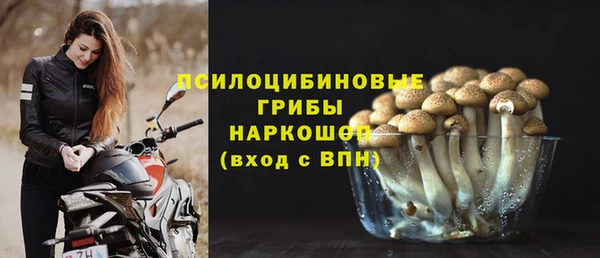 прущий лед Ельня
