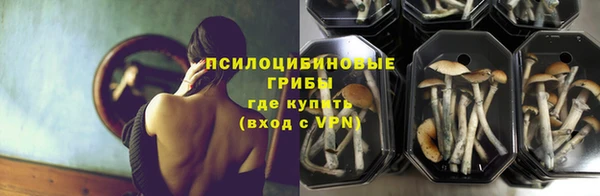 прущий лед Ельня
