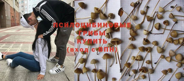 прущий лед Ельня