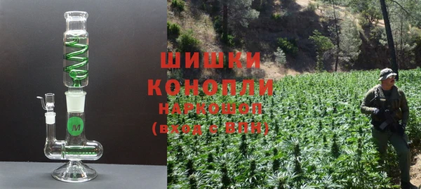 амф Елабуга