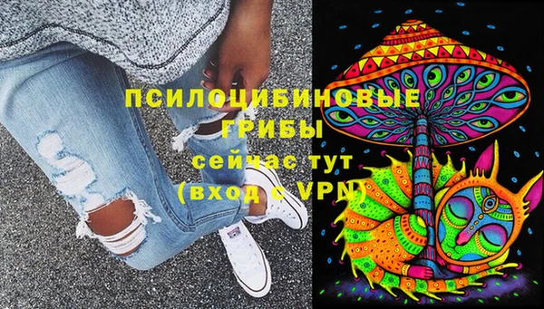 трава Елизово