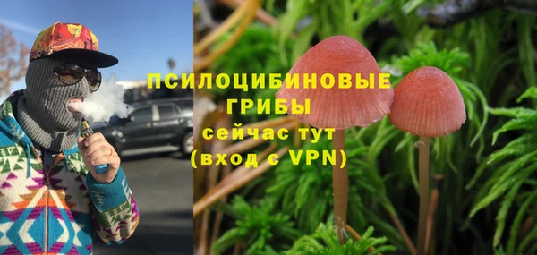 амф Елабуга