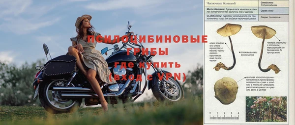 амф Елабуга