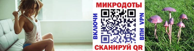 Купить закладки  Жердевка  Псилоцибиновые грибы MAGIC MUSHROOMS 