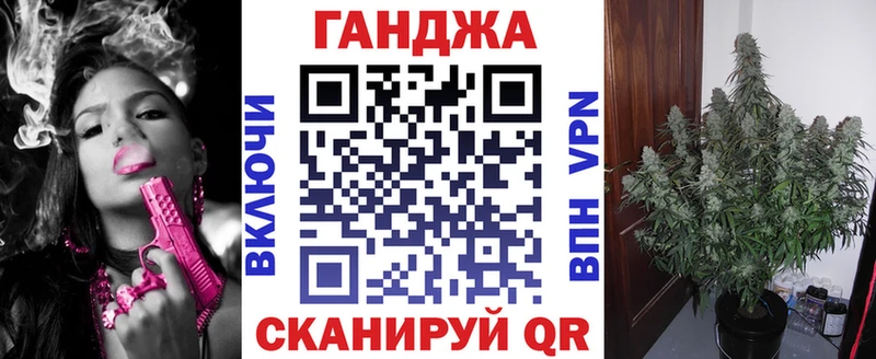 Бошки марихуана OG Kush  Купить закладки  Жердевка 